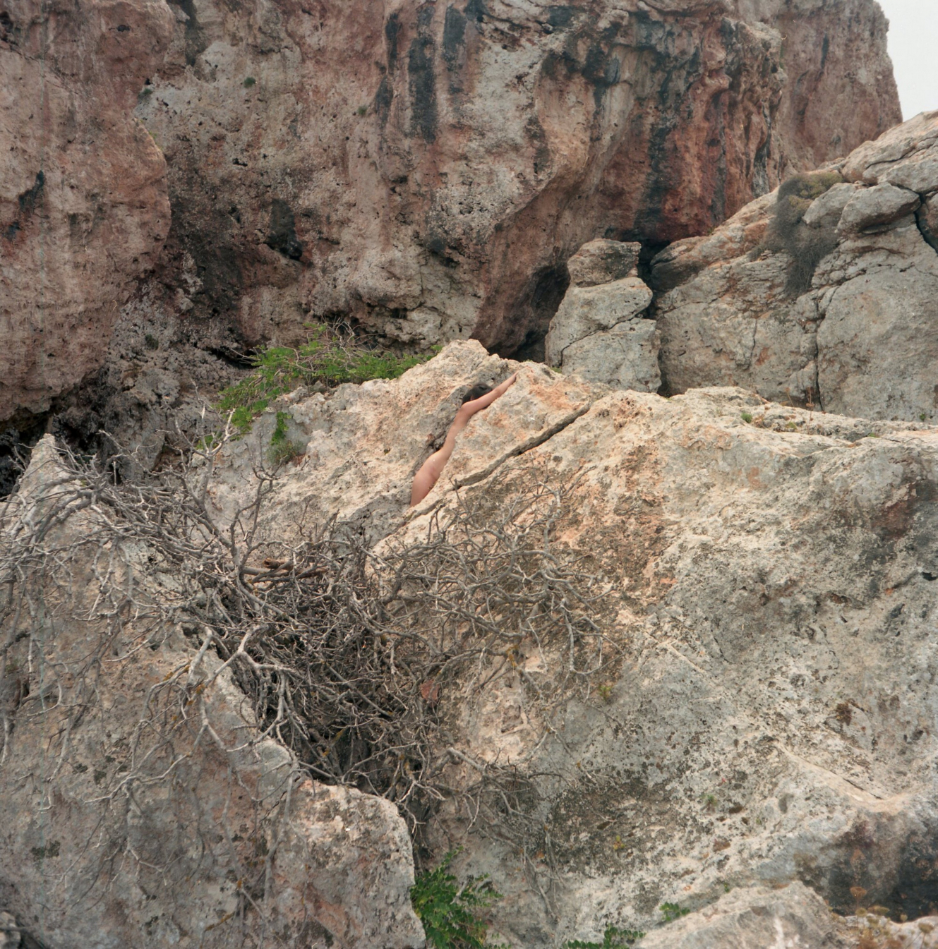 gallery/ksenia telepova - tree - ground - october 2018