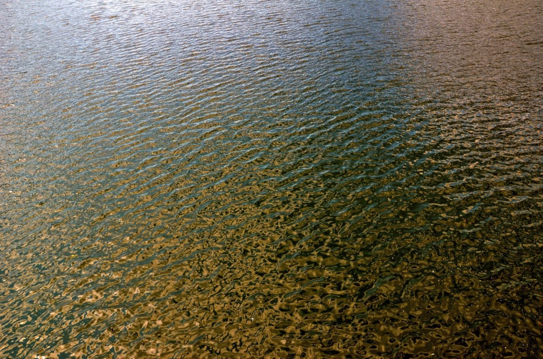 gallery/yama bato - couleurs - ground - july 2019 (2)