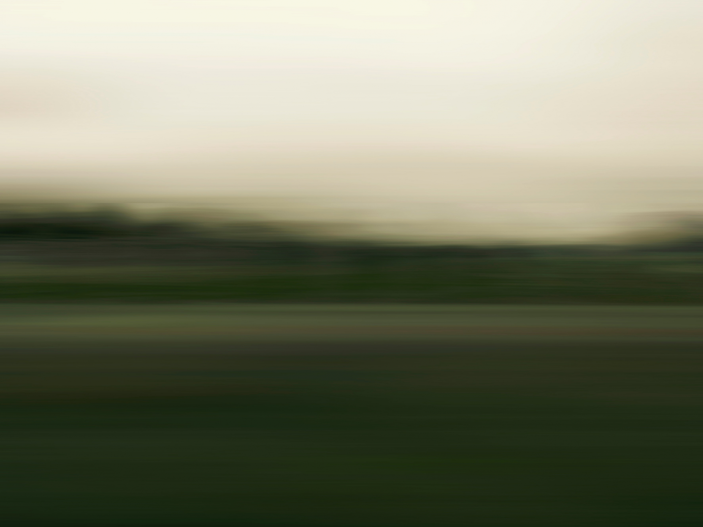 gallery/2 - pavel otdelnov - horizontal motion - ground - june 2019 - 2