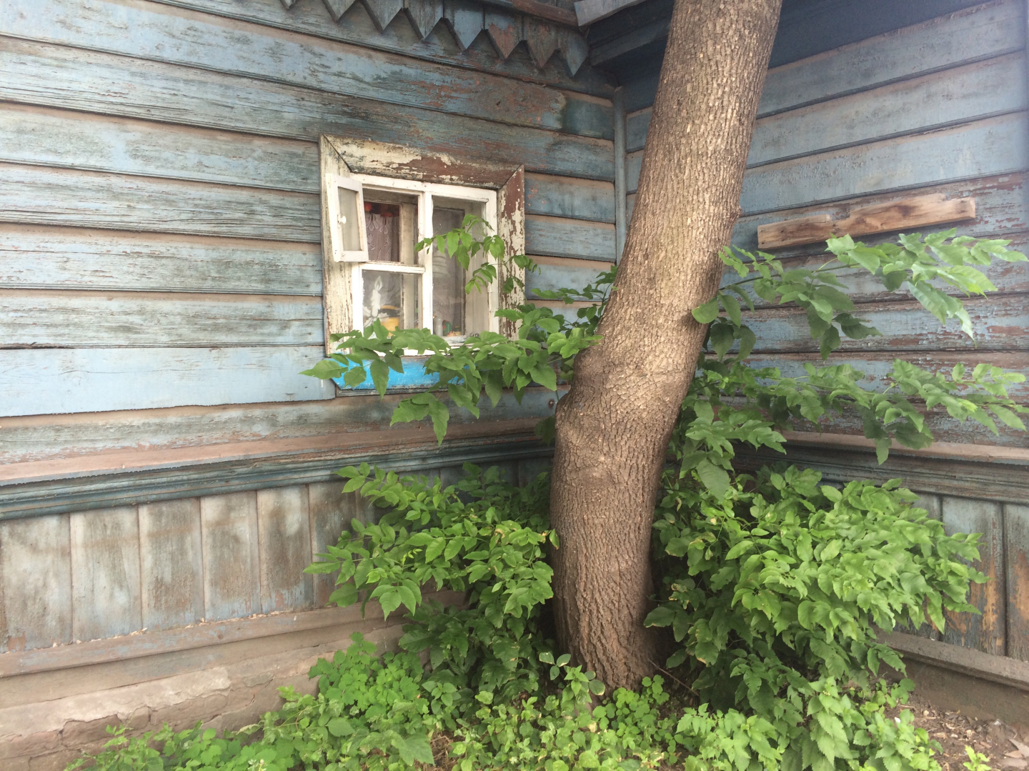 gallery/7