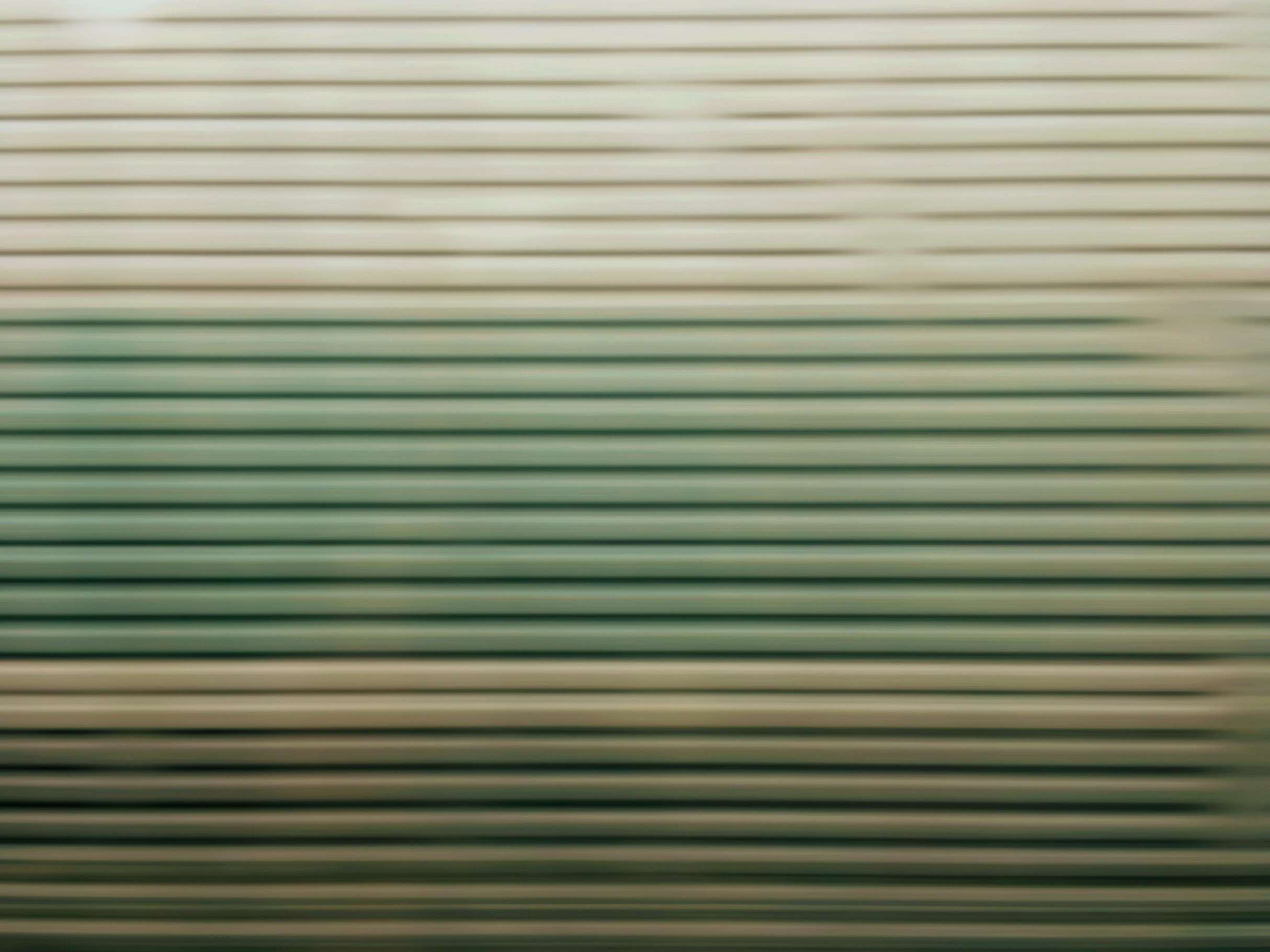 gallery/3 - pavel otdelnov - horizontal motion - ground - july 2019 - 3